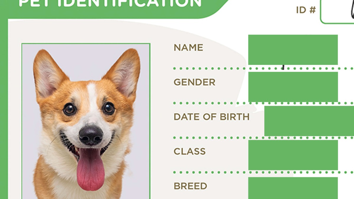 Parkmall Pet Society Launches New Pet Passport Program